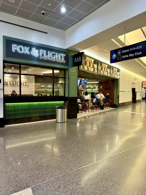 Fox & Flight by null