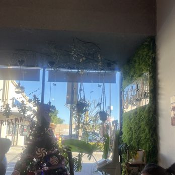 BLTea - Decor - Bubble Tea Near Me - Los Angeles, California BLTea - Decor - Bubble Tea Near Me - Los Angeles, California