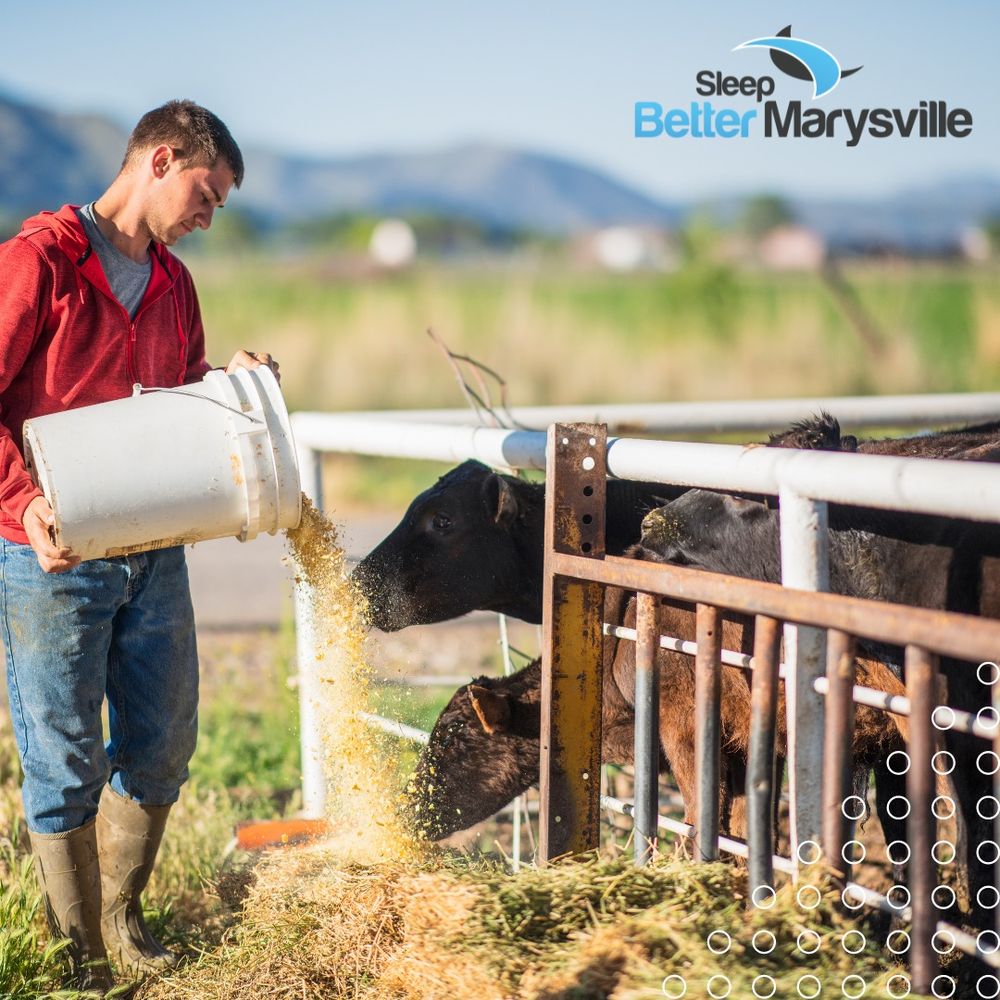 Sleep Better Marysville - sleep specialist in Marysville, OH