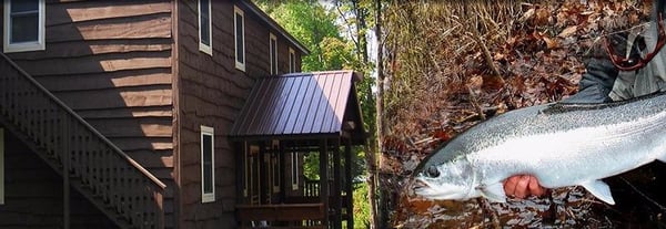 Fox Hollow Lodge by null