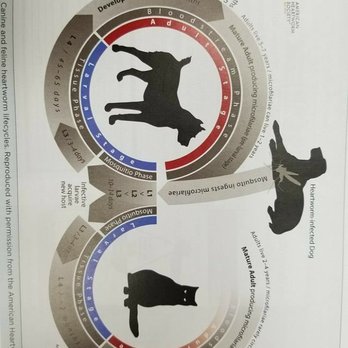 Stockyards Veterinary Clinic - Veterinarians Near Me - Tulsa, Oklahoma Stockyards Veterinary Clinic - Veterinarians Near Me - Tulsa, Oklahoma