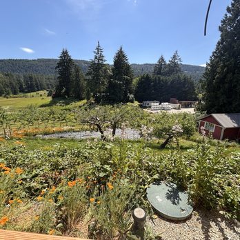 Salt Spring Wild Cider - View from the dining area - Cideries Near Me - Salt Spring Island, British Columbia