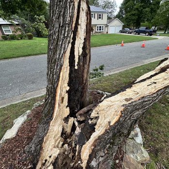 Captains Tree Service - Tree Services Near Me - Lindenwold, New Jersey