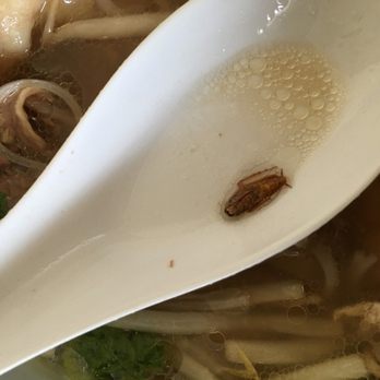 Pho Hoang - Vietnamese Near Me - Flushing, New York