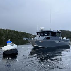Buoy 5 Adventures