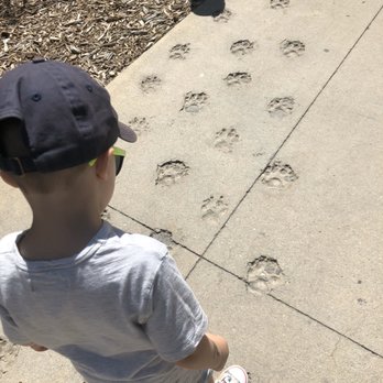 Bearizona - Zoos Near Me - Williams, Arizona