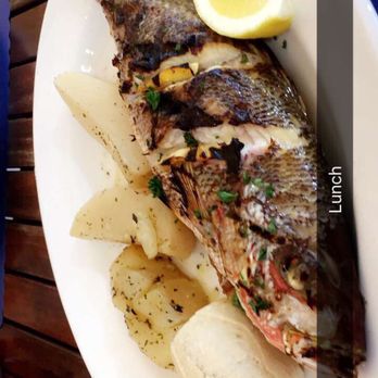 Pega Grill - Yellowtail - Greek Near Me - Miami, Florida Pega Grill - Yellowtail - Greek Near Me - Miami, Florida