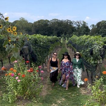 Del Vino Vineyards - Beautiful vineyard with friends - Wine Tasting Room Near Me - Northport, New York Del Vino Vineyards - Beautiful vineyard with friends - Wine Tasting Room Near Me - Northport, New York