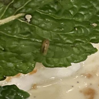 Pappadeaux Seafood Kitchen - A worm on mint - Cajun/Creole Near Me - Marietta, Georgia Pappadeaux Seafood Kitchen - A worm on mint - Cajun/Creole Near Me - Marietta, Georgia