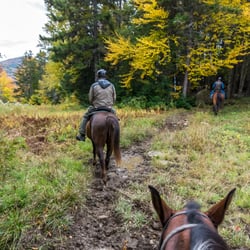 Black Mountain Stables
