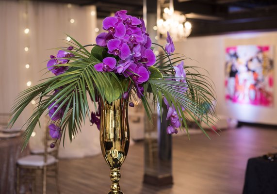 The Conservatory by null