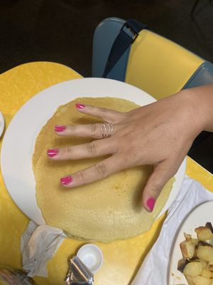 Fezz's Community Diner by null