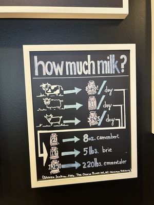 Antonelli's Cheese - Tasting Room South by null