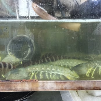 明記飯店 - Live Manta Schrimp in tank - Cantonese Near Me - Hong Kong, HK