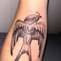 Photo of Enchanted Dragon Tattoo