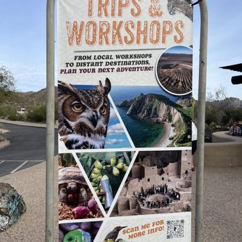 Arizona-Sonora Desert Museum - Museums Near Me - Tucson, Arizona