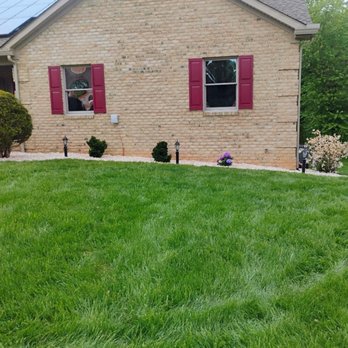 Enchanted Tree Service - Tree Services Near Me - Williamsport, Maryland Enchanted Tree Service - Tree Services Near Me - Williamsport, Maryland