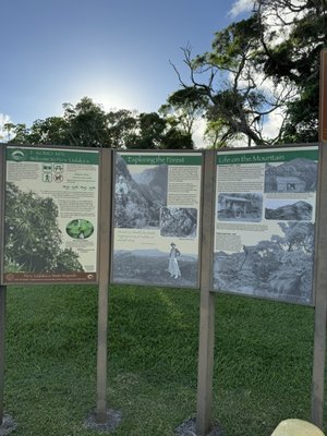 Puʻu ʻUalakaʻa State Wayside by null