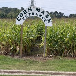 Patterson Fruit Farm - Mulberry Location