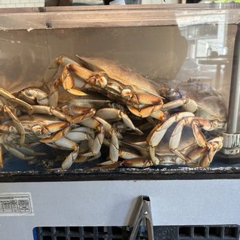 TAYLOR SHELLFISH FARMS - Updated August 2024 - 2890 Photos & 1383 ...