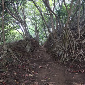 Secret Beach & Lava Pools - Hike down. Steeper than it looks. - Beaches Near Me Secret Beach & Lava Pools - Hike down. Steeper than it looks. - Beaches Near Me