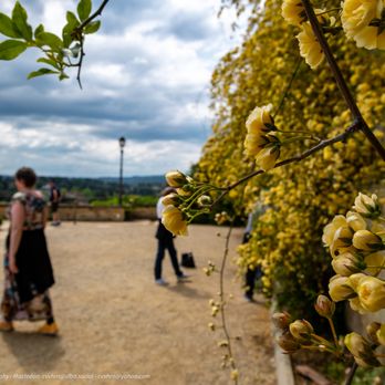 Giardino di Boboli - Parks Near Me - Florence, FI
