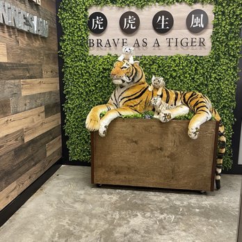 Tiger Sugar - Tea Rooms Near Me - Kennesaw, Georgia
