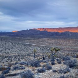 Goodsprings Trailhead