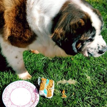 Wag N' Wash Natural Pet Food & Grooming - Pet Groomers Near Me - Aurora, Colorado