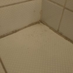 Hôtel Mercure - Disgusting shower