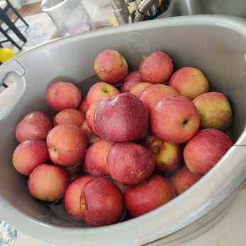 Levering Orchard - Fruits & Veggies Near Me - Ararat, Virginia Levering Orchard - Fruits & Veggies Near Me - Ararat, Virginia
