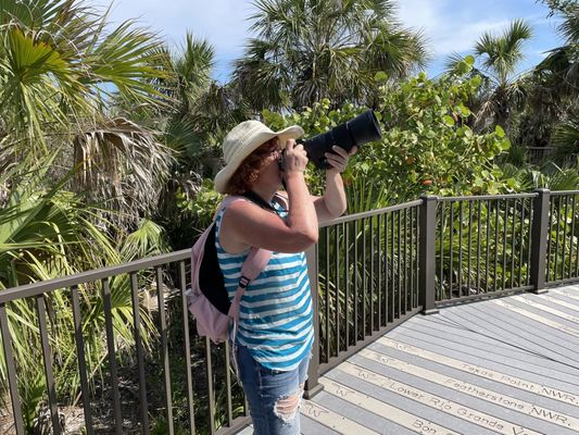 Pelican Island National Wildlife Refuge by null