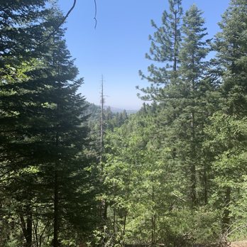Heaps Peak Arboretum  - Fantastic View of the San Bernardino Forest - Botanical Gardens Near Me - Lake Arrowhead, California