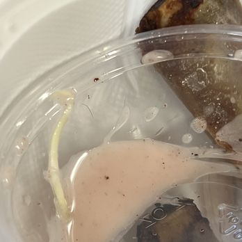 Koala Moa - Then the last one I spotted in my sauce cup...bruhhhhh. - Chicken Shop Near Me - Honolulu, Hawaii