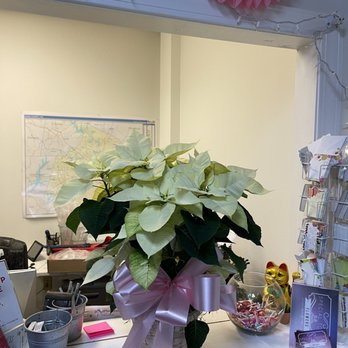 Special Touch Flowers - The counter.  They added a fabulous bow - Florists Near Me - Raleigh, North Carolina