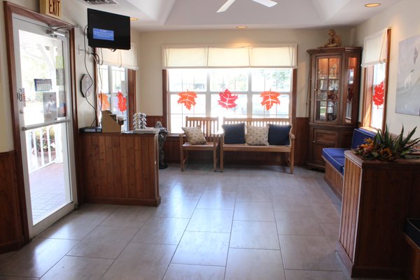 PALMA SOLA ANIMAL CLINIC - Updated January 2025 - 44 Photos - 6116