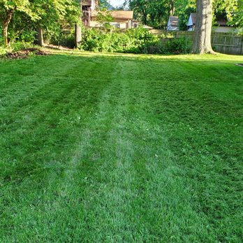 Mister MowTown - a man mowing a lawn - Lawn Services Near Me Mister MowTown - a man mowing a lawn - Lawn Services Near Me