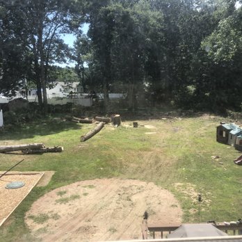 Paulo's Landscaping & Tree Removal - a view of the backyard - Tree Services Near Me - Orange, Connecticut