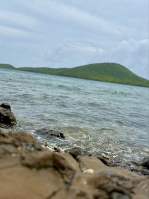 Tamarindo Beach by null