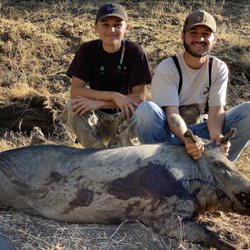 Hogs Wild Hunting Ranch - Jake and Gavin
