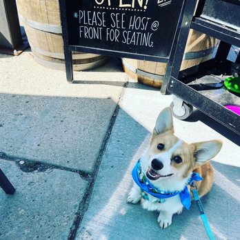 Dark Sky Brewing - Dark Sky Beer Garden Pup - Breweries Near Me - Flagstaff, Arizona