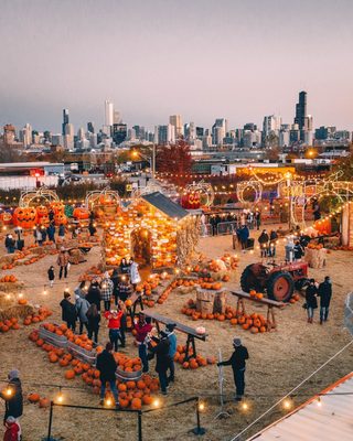 Jack's Pumpkin Pop-up by null