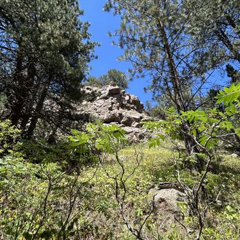 Anne U White Trail - Hiking Near Me - Longmont, Colorado Anne U White Trail - Hiking Near Me - Longmont, Colorado