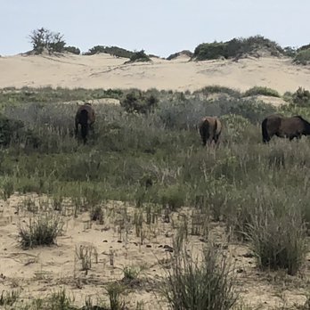 Back Country Safari Tours - Historical Tours Near Me - Corolla, North Carolina Back Country Safari Tours - Historical Tours Near Me - Corolla, North Carolina