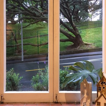 Albert Park Cafe - View from Albert Park Cafe - Cafes Near Me - Auckland, AUK