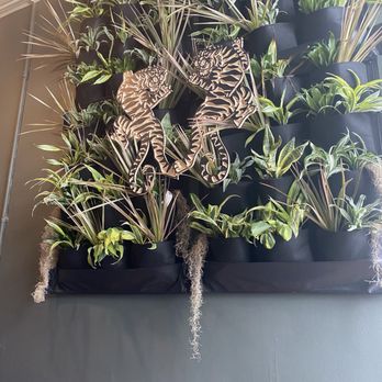Two Tigers - Inside - Coffee & Tea Near Me - Columbus, Ohio