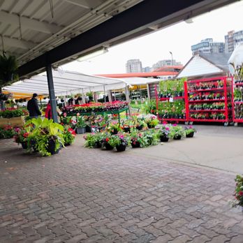Marché Public 440 - The outdoors section - Farmers Market Near Me - Laval, Quebec