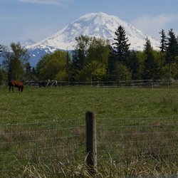 City of Enumclaw