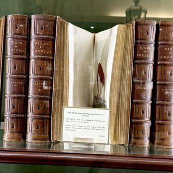 Bauman Rare Books - First Edition of John Audubon's Birds of America - Bookstores Near Me - Las Vegas, Nevada Bauman Rare Books - First Edition of John Audubon's Birds of America - Bookstores Near Me - Las Vegas, Nevada