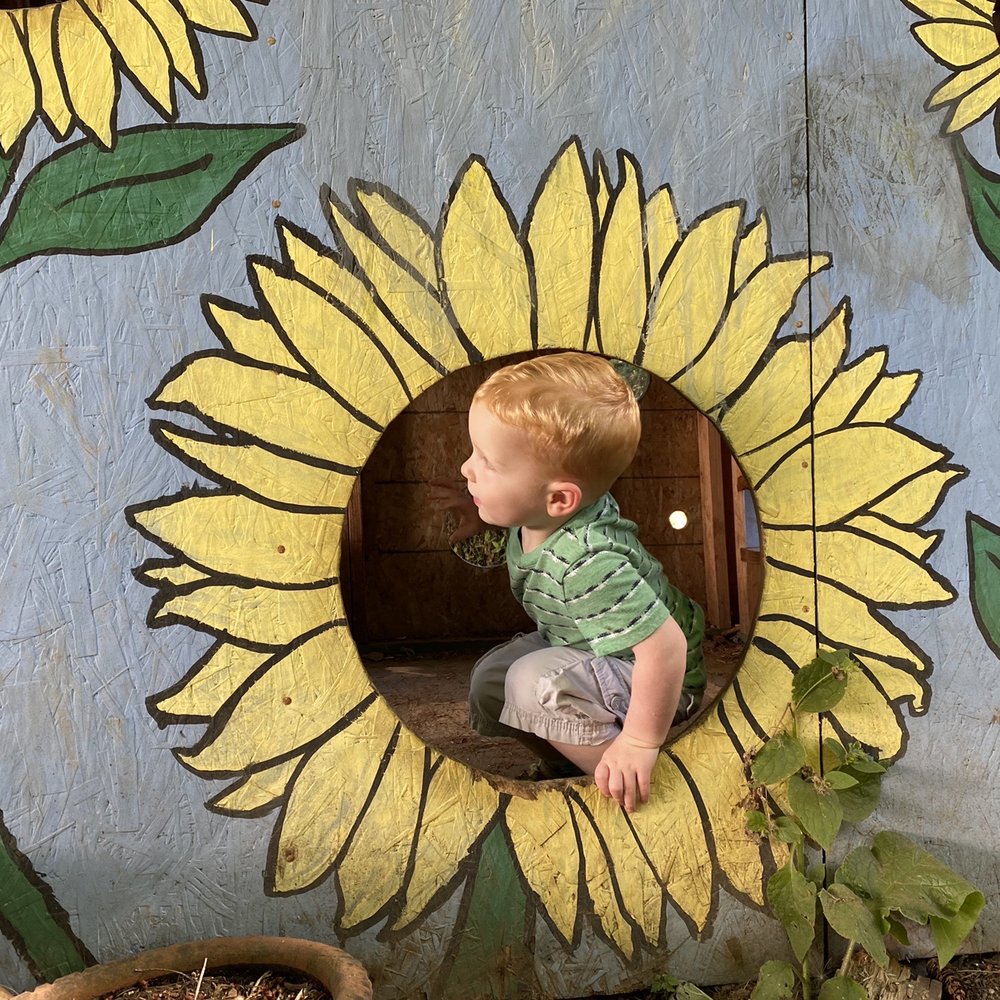 Leach Botanical Garden - Cute little shed with cutouts - Botanical Gardens Near Me - Portland, Oregon